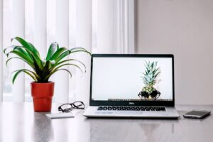Mity na temat SEO – 10 mitów o pozycjonowaniu stron